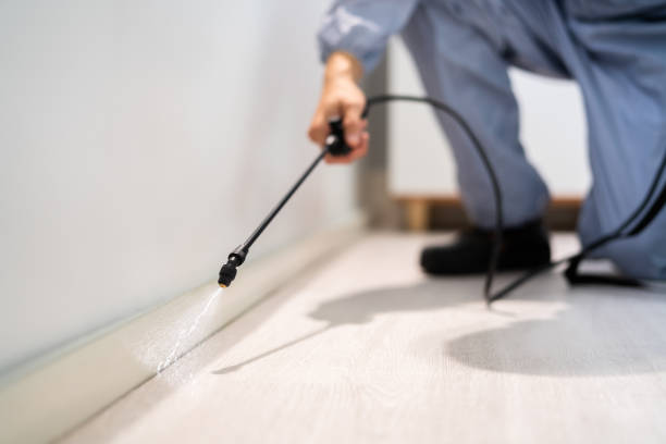 Licensed Pest Control service in Detroit Lakes, MN - Show Me Pest Control